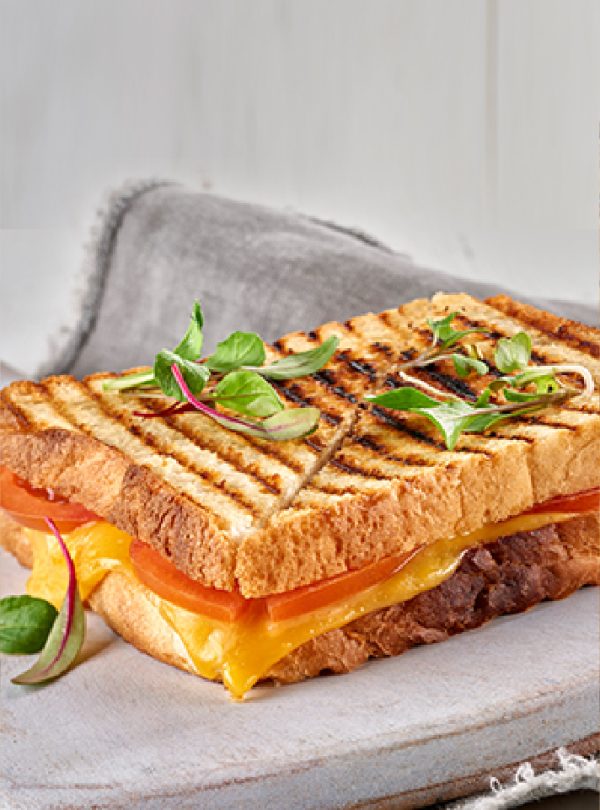 Toasted-Cheese-and-Tomato-Sandwich
